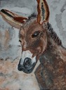 Mule (Watercolor on Canvas) by Charissa Jaeger-Sanders