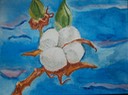 Cotton Blossom (Watercolor on Canvas) by Charissa Jaeger-Sanders